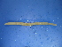  ( - Eco2)  @12 [ ] CreativeCommons - Attribution Non-Commercial Share-Alike (2010) Unspecified The Research Collection of Chih-Han Chang