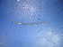  ( - Eusa3)  @12 [ ] CreativeCommons - Attribution Non-Commercial Share-Alike (2010) Unspecified The Research Collection of Chih-Han Chang