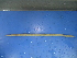  ( - Gra2)  @12 [ ] CreativeCommons - Attribution Non-Commercial Share-Alike (2010) Unspecified The Research Collection of Chih-Han Chang