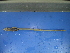  ( - KTW4P1)  @12 [ ] CreativeCommons - Attribution Non-Commercial Share-Alike (2010) Unspecified The Research Collection of Chih-Han Chang