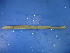  ( - Laut3)  @12 [ ] CreativeCommons - Attribution Non-Commercial Share-Alike (2010) Unspecified The Research Collection of Chih-Han Chang