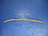  ( - Tes1)  @12 [ ] CreativeCommons - Attribution Non-Commercial Share-Alike (2010) Unspecified The Research Collection of Chih-Han Chang