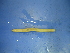 ( - Tes4)  @12 [ ] CreativeCommons - Attribution Non-Commercial Share-Alike (2010) Unspecified The Research Collection of Chih-Han Chang