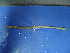  ( - sp100-5)  @12 [ ] CreativeCommons - Attribution Non-Commercial Share-Alike (2010) Unspecified The Research Collection of Chih-Han Chang