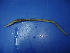  ( - sp99-1)  @12 [ ] CreativeCommons - Attribution Non-Commercial Share-Alike (2010) Unspecified The Research Collection of Chih-Han Chang