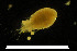  ( - CH774-A07)  @11 [ ] CreativeCommons  Attribution Non-Commercial Share-Alike (2015) Martha Valdez-Moreno El Colegio de la Frontera Sur