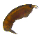  ( - 20180817_exp2_14Z)  @11 [ ] CreativeCommons  Attribution Share-Alike (2018) Amy Maas BIOS