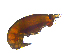  ( - 20180817_exp2_15Z)  @11 [ ] CreativeCommons  Attribution Share-Alike (2018) Amy Maas BIOS