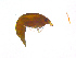  ( - 20180830_exp8_6z)  @11 [ ] CreativeCommons  Attribution Share-Alike (2018) Amy Maas BIOS