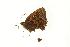  ( - EZ0068CNC)  @13 [ ] Unspecified (default): All Rights Reserved  Unspecified Unspecified