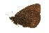  ( - EZ0074CNC)  @13 [ ] Unspecified (default): All Rights Reserved  Unspecified Unspecified