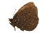  ( - EZ0075CNC)  @13 [ ] Unspecified (default): All Rights Reserved  Unspecified Unspecified