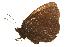  ( - EZ0077CNC)  @13 [ ] Unspecified (default): All Rights Reserved  Unspecified Unspecified