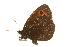  ( - EZ0122CNC)  @12 [ ] Unspecified (default): All Rights Reserved  Unspecified Unspecified