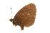  ( - EZ0134CNC)  @12 [ ] Unspecified (default): All Rights Reserved  Unspecified Unspecified