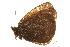  ( - EZ0137CNC)  @13 [ ] Unspecified (default): All Rights Reserved  Unspecified Unspecified