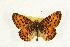  ( - EZ1001CNC)  @13 [ ] Unspecified (default): All Rights Reserved  Unspecified Unspecified