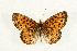  ( - EZ1002CNC)  @13 [ ] Unspecified (default): All Rights Reserved  Unspecified Unspecified