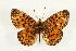  ( - EZ1003CNC)  @13 [ ] Unspecified (default): All Rights Reserved  Unspecified Unspecified