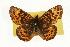  ( - EZ1053CNC)  @13 [ ] Unspecified (default): All Rights Reserved  Unspecified Unspecified