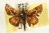  ( - EZ1092CNC)  @13 [ ] Unspecified (default): All Rights Reserved  Unspecified Unspecified