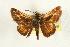  ( - EZ1093CNC)  @13 [ ] Unspecified (default): All Rights Reserved  Unspecified Unspecified
