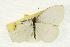  ( - EZ1106CNC)  @13 [ ] Unspecified (default): All Rights Reserved  Unspecified Unspecified