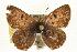  ( - EZ1223CNC)  @13 [ ] Unspecified (default): All Rights Reserved  Unspecified Unspecified