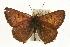  ( - EZ1242CNC)  @13 [ ] Unspecified (default): All Rights Reserved  Unspecified Unspecified