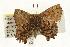  ( - EZ1252CNC)  @13 [ ] Unspecified (default): All Rights Reserved  Unspecified Unspecified