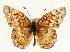  ( - EZ1279CNC)  @13 [ ] Unspecified (default): All Rights Reserved  Unspecified Unspecified