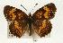  ( - EZ1299CNC)  @14 [ ] Unspecified (default): All Rights Reserved  Unspecified Unspecified