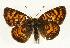  ( - EZ1305CNC)  @13 [ ] Unspecified (default): All Rights Reserved  Unspecified Unspecified