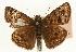  ( - EZ1338CNC)  @13 [ ] Unspecified (default): All Rights Reserved  Unspecified Unspecified
