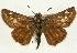  ( - EZ1357CNC)  @13 [ ] Unspecified (default): All Rights Reserved  Unspecified Unspecified