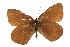  ( - rlayberry54)  @13 [ ] Unspecified (default): All Rights Reserved  Unspecified Unspecified