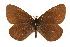  ( - rlayberry55)  @14 [ ] Unspecified (default): All Rights Reserved  Unspecified Unspecified