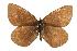  ( - rlayberry56)  @13 [ ] Unspecified (default): All Rights Reserved  Unspecified Unspecified