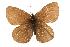  ( - rlayberry57)  @13 [ ] Unspecified (default): All Rights Reserved  Unspecified Unspecified