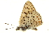  ( - EVZ-046-04)  @13 [ ] CreativeCommons - Attribution (2012) CBG Photography Group Centre for Biodiversity Genomics
