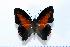  ( - BC-Basq1822)  @14 [ ] Unspecified (default): All Rights Reserved  Unspecified Unspecified