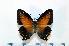  ( - BC-Basq1823)  @13 [ ] Unspecified (default): All Rights Reserved  Unspecified Unspecified