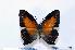  ( - BC-Basq1824)  @13 [ ] Unspecified (default): All Rights Reserved  Unspecified Unspecified