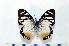  ( - BC-Basq1827)  @13 [ ] Unspecified (default): All Rights Reserved  Unspecified Unspecified