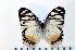  ( - BC-Basq1829)  @13 [ ] Unspecified (default): All Rights Reserved  Unspecified Unspecified