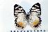  ( - BC-Basq1830)  @13 [ ] Unspecified (default): All Rights Reserved  Unspecified Unspecified