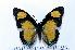  ( - BC-Basq1837)  @13 [ ] Unspecified (default): All Rights Reserved  Unspecified Unspecified