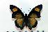  ( - BC-Basq1839)  @12 [ ] Unspecified (default): All Rights Reserved  Unspecified Unspecified