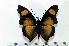  ( - BC-Basq1840)  @13 [ ] Unspecified (default): All Rights Reserved  Unspecified Unspecified