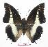 ( - BC-EV0582)  @13 [ ] Unspecified (default): All Rights Reserved  Unspecified Unspecified